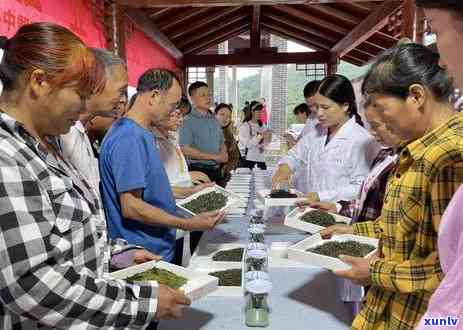 女人送茶叶给男人,暗示什么，茶中情意浓：解析女人送茶叶给男人的深层含义