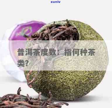 茶叶度数是什么意思呀，解密茶叶度数：你不知道的茶叶知识