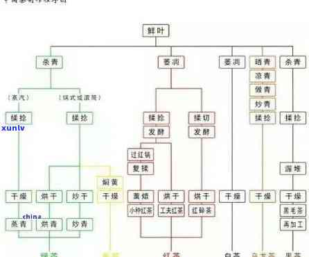 一条条的茶叶：品种、 *** 工艺全解析