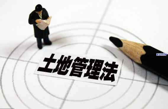 土地超期闲置怎么罚款，解读：土地超期闲置怎样实施罚款？