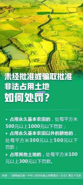 土地超期闲置怎么罚款，解读：土地超期闲置怎样实施罚款？