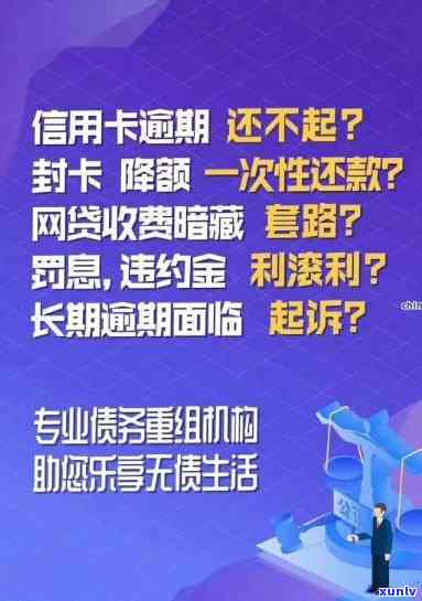 中茶生态雀普洱茶：品味自然生态的茶香韵味