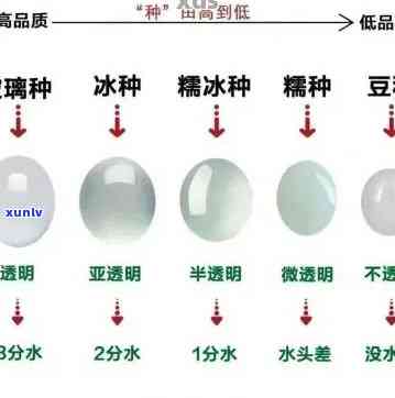 高冰波翡翠：品种解析与特点介绍