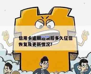 发逾期还款后什么时候可以正常采用，恢复信用：发逾期还款后何时可以恢复正常采用？