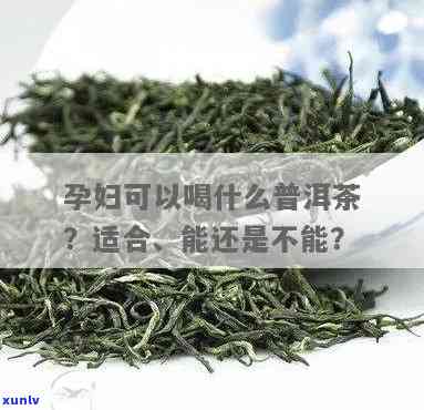 怀孕后不能喝茶叶吗？原因解析