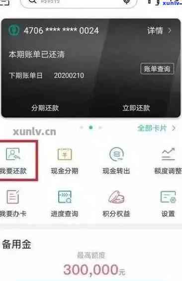 发银行怎么查询总欠款，怎样查询发银行的总欠款？