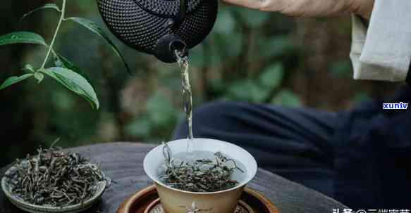 能不能天天喝茶叶，天天喝茶好吗？影响健的因素解析