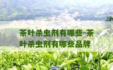 杀虫剂可以打茶叶吗-杀虫剂可以打茶叶吗有吗