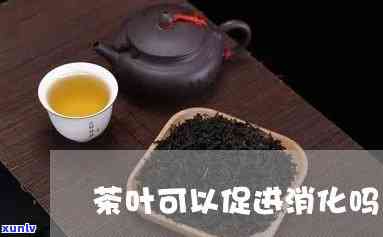 和茶叶有助于消化吗-茶叶有助于消化吗?