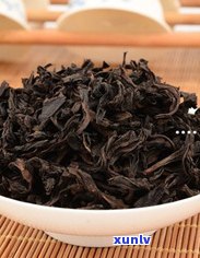 请问苦丁茶是茶叶吗？可以饮用吗？