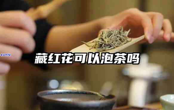 茶叶和红花能一块泡，茶叶与红花的完美搭配：的新选择