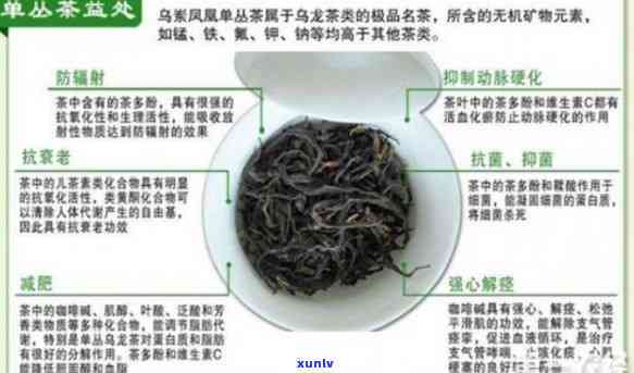 单丛茶叶的好处：功效与副作用全解析