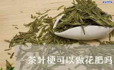 茶叶梗可以做花肥吗-茶叶梗可以做花肥吗视频