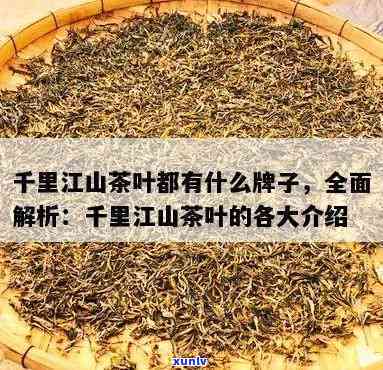 百年老班章茶业传奇：天普洱茶的品质与价格解析