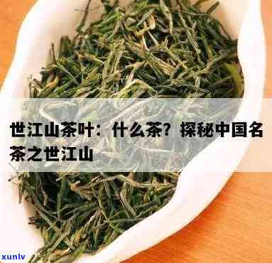 江山牌茶叶听说过吗是真的吗，江山牌茶叶：你是否真的了解它？