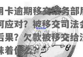 '2009年老班章价格表：熟茶与古树茶价格一览'