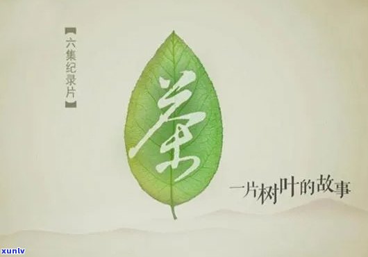 茶叶一片叶子的传奇-茶叶一片叶子的故事