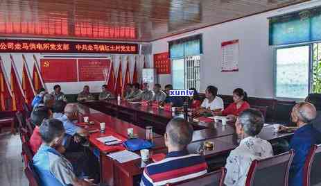 鹤峰茶叶有哪些的，探寻鹤峰茶叶：品质与口感的双重享受