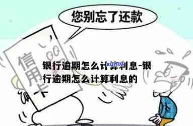 发银行逾期利息计算  及金额详解