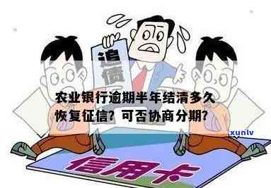 农业银行逾期半年，能否协商分期及利息退还？