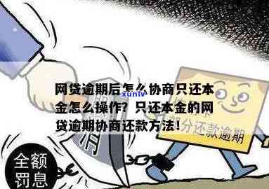 发逾期协商还本金-发逾期协商还本金怎么还