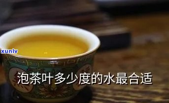 泡茶叶用多少度的水-泡茶叶用多少度的水