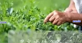 甲可否饮用茶叶？详细解析