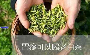 胃疼能不能喝茶叶水-胃疼能不能喝茶叶水缓解