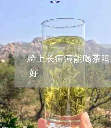 麦冬和普洱茶可以一起泡吗？有吗？搭配普洱茶与麦冬是否可行？