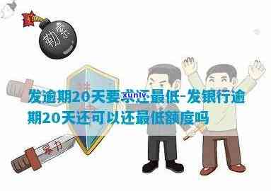 发银行逾期20次-发银行逾期20次会怎样