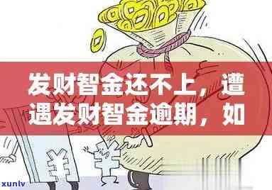 发银行逾期财智金：能否采用及安全性？