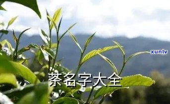 茶叶起名字大全集，茶艺爱好者必看：茶叶起名字大全集