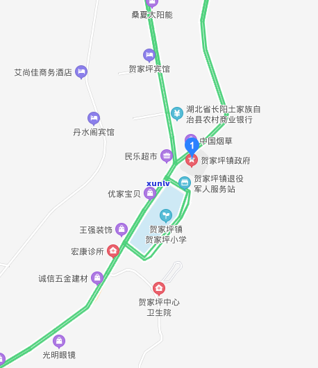 茶叶：草本植物还是木本植物？——探索其科学分类与图片展示