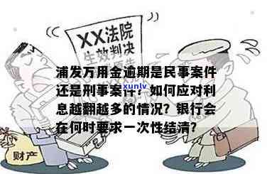 浦发万用金逾期：民事案件还是刑事案件？怎样解决逾期疑问？