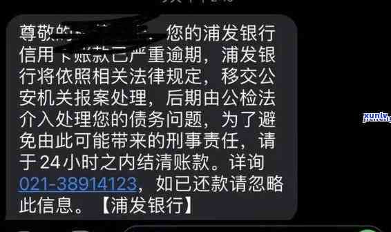 浦发逾期来了会怎么样，逾期未还浦发银行贷款，借款人被警方传唤解决