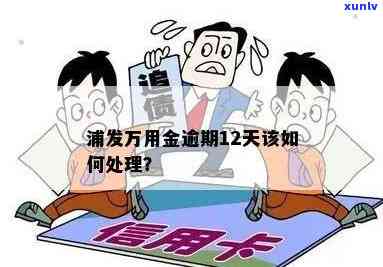 浦发万用金逾期解决时间：多久？