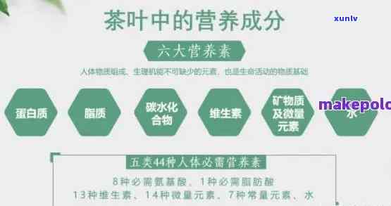 茶叶主要成分功效表图大全：全面了解茶叶的主要营养成分及其功效