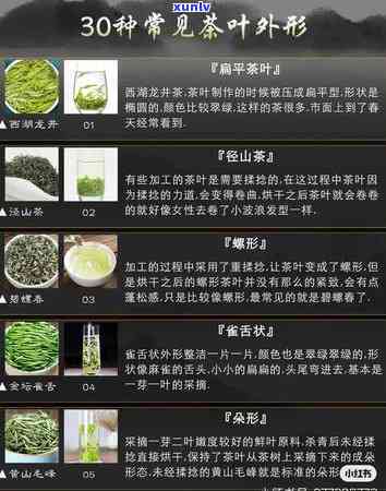 茶叶的种类及其代表-茶叶的种类及其代表性产品