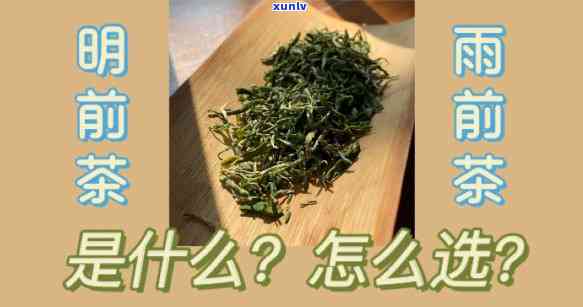 雨前和明前茶的区别：哪个更好？