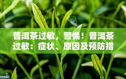 有对茶叶过敏的人吗-有对茶叶过敏的人吗知乎