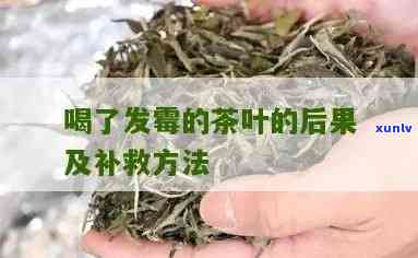 霉菌可以喝茶叶水吗-霉菌可以喝茶叶水吗女性