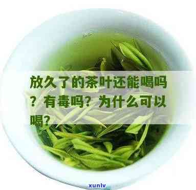 茶叶隔一年还能喝吗-茶叶隔一年还能喝吗有吗