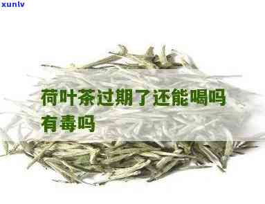 茶叶隔一年还能喝吗-茶叶隔一年还能喝吗有吗