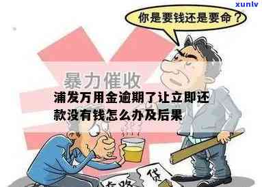 浦发万用金逾期让立即还款，无资金怎样解决？