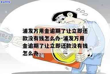 中信银行逾期怎么办？处理信用卡逾期、欠款逾期的步骤及时间限制