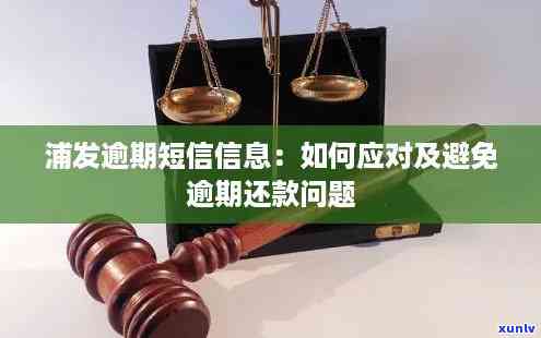 信用卡逾期还不上，老婆名下的车子会怎样？——老公的债务会影响到财产吗？