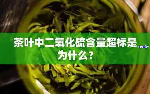 茶叶里有二氧化硫吗为什么，探究茶叶中是不是存在二氧化硫及其起因