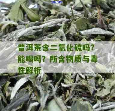 茶叶里有二氧化硫吗能喝吗，二氧化硫是否存在于茶叶中？对健有何影响？