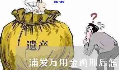 浦发万佣金逾期一天-浦发万佣金逾期无能力偿还,银行起诉了怎么办