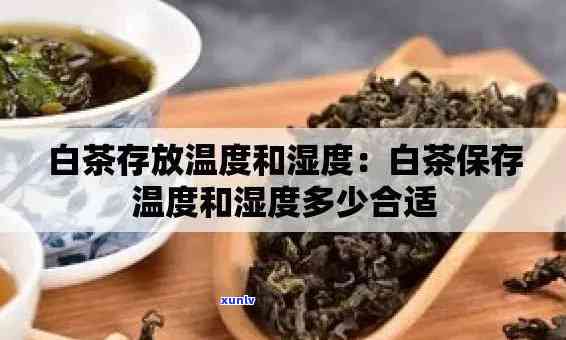 茶叶除湿功效：真相大揭秘